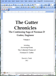 Gutter cover__2013-06-11