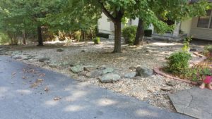 We have a rock yard, with two maples and one oak, and with forest on three sides. Leaf removal is never-ending for two months in the fall.